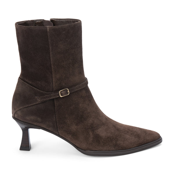 Ilana Ankle Boot – Matisse Footwear – Dark brown pointed-toe ankle boot with kitten heel and delicate wraparound buckle strap.