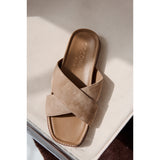 Beige sandal with criss-cross strap design and 'Coconuts by Matisse' branding on a light background.